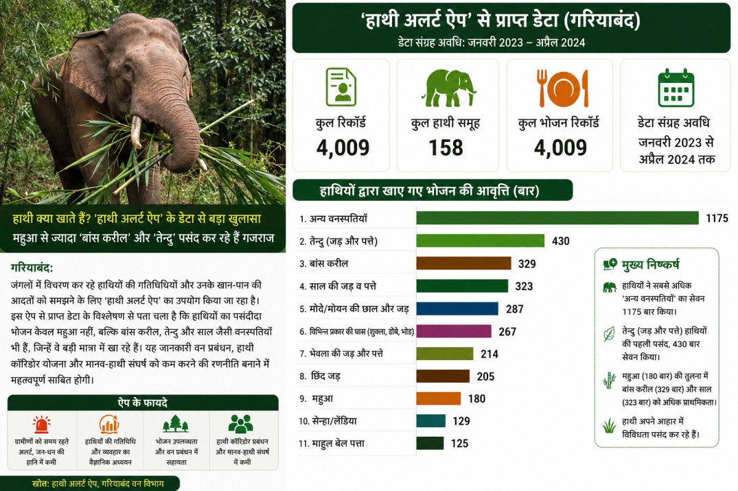 हाथी क्या खाते हैं? ‘हाथी अलर्ट ऐप’ के डेटा से बड़ा खुलासा; महुआ से ज्यादा ‘बांस करील’ और ‘तेन्दु’ पसंद कर रहे हैं गजराज
